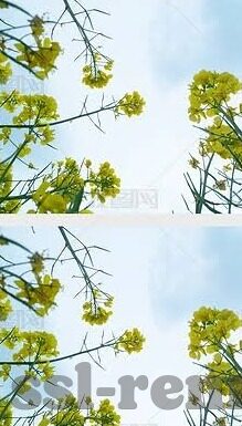 竞彩足球比分直播 澳客-解锁竞彩足球新体验，澳客比分直播，球迷的实时观赛指南