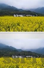 雪缘园足球比分即时比分-雪缘园足球比分即时比分，球迷的实时观赛指南与情感纽带
